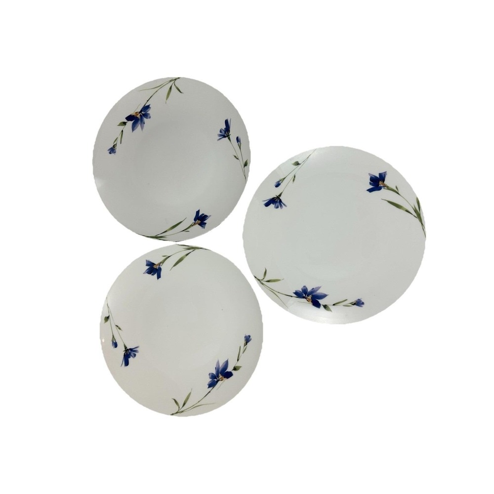 Studio Nova Petite Bone Love Song Plates Blue Flowers Silver Rim LM506 10.5" (3)